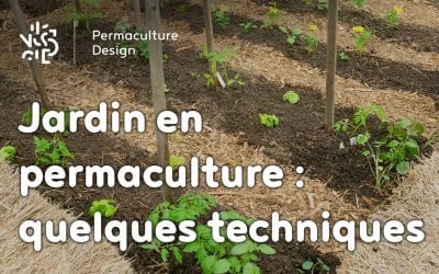 Un jardin potager utilisant des techniques de permaculture