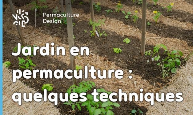 Jardin en permaculture : quelques techniques…