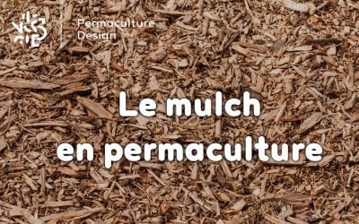 Le mulch en permaculture