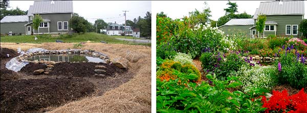 Jardin en permaculture