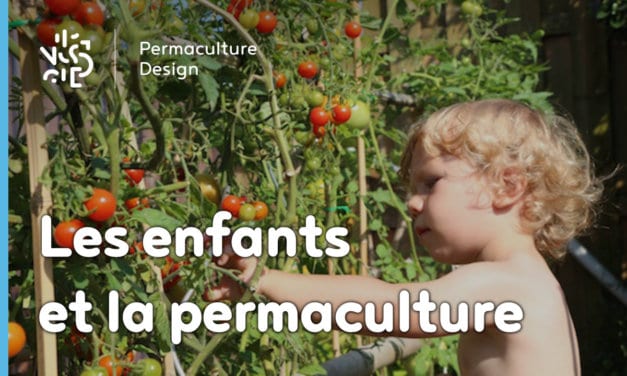 Comment faire découvrir la permaculture aux enfants ?