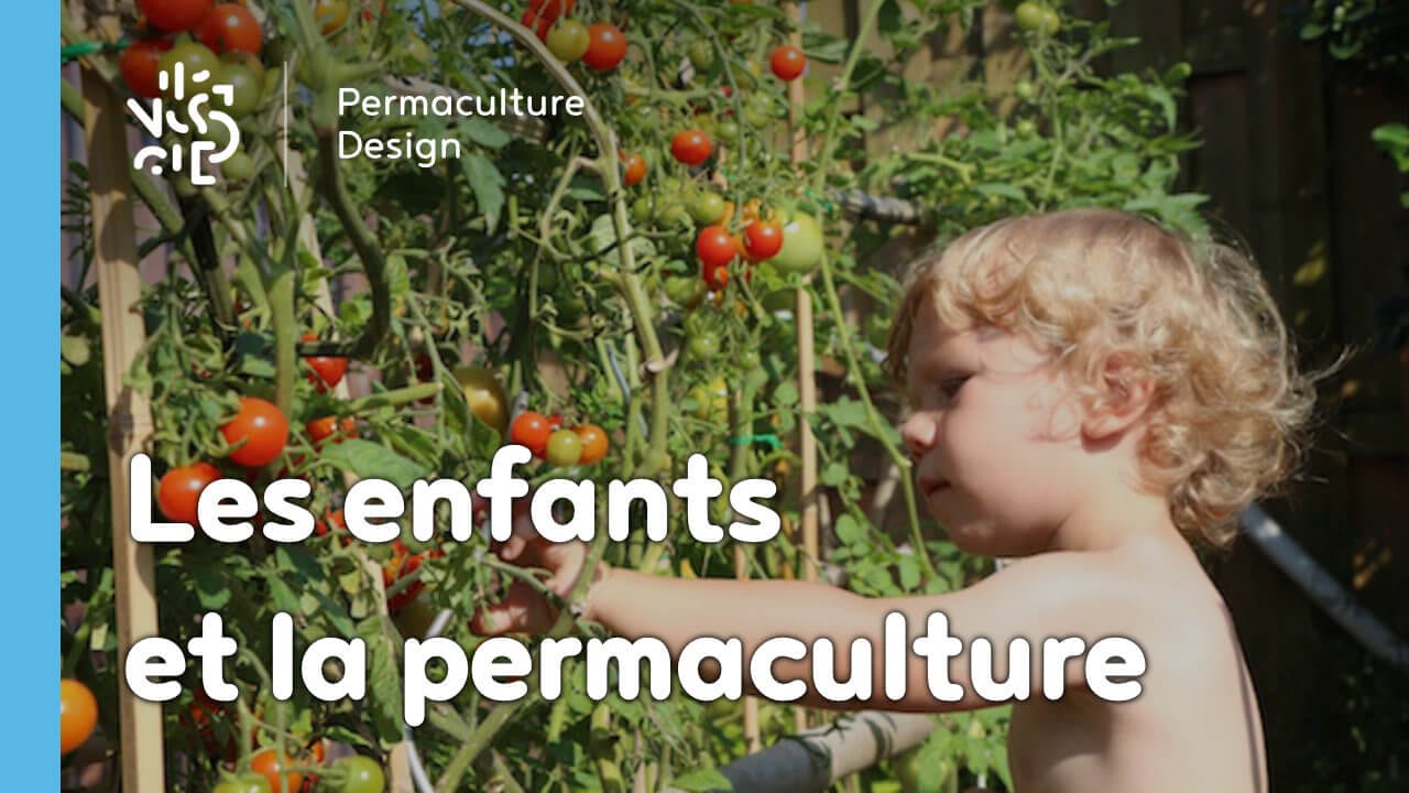 Comment faire découvrir la permaculture aux enfants ?