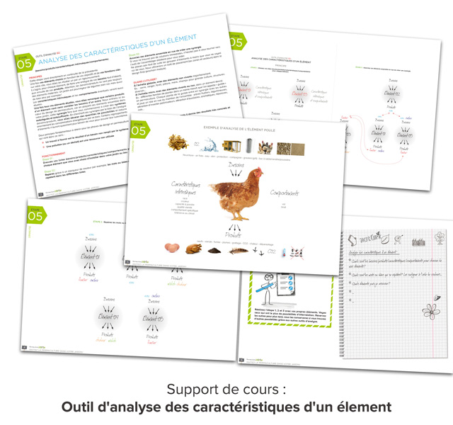 Support de cours PDF de l'outil d'analyse des caractéristiques d'un éléments.