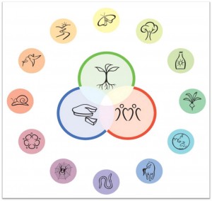 permaculture-ethique-principes1