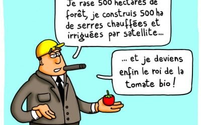 Le dessin du mois…