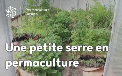 Une petite serre aménagée selon les principes de permaculture