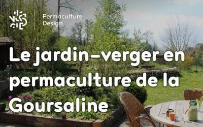 Le jardin potager en permaculture de la Goursaline août 2015