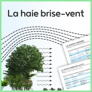 Invitez la permaculture dans votre jardin