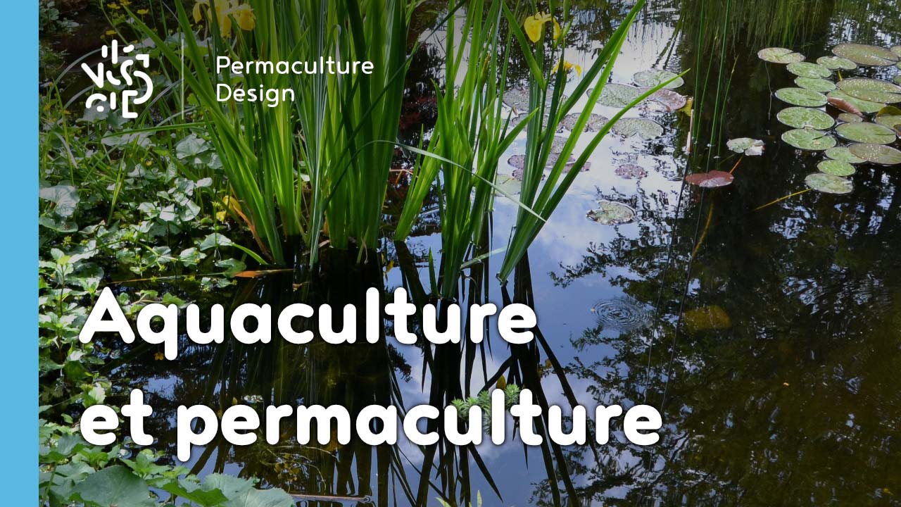 Aquaculture et permaculture