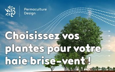 Choisissez vos plantes pour votre haie brise-vent !