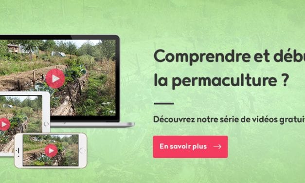 Comprendre et débuter la permaculture ?