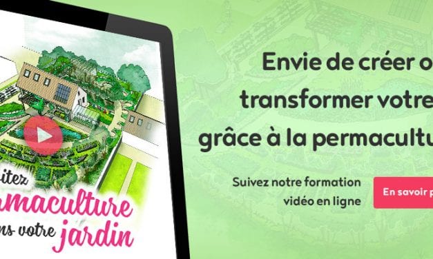 Envie de créer ou de transformer votre lieu grâce à la permaculture ?