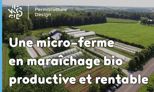 Une micro-ferme en maraîchage bio productive et rentable : les Jardins de la Grelinette !