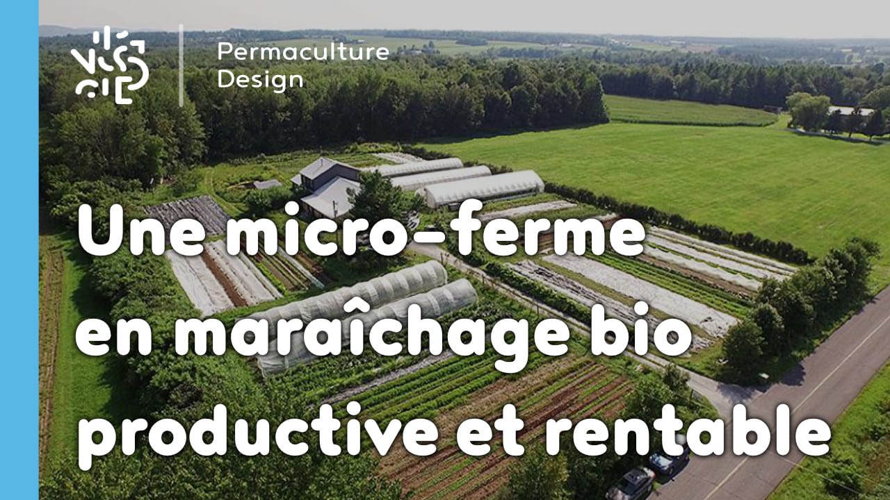 Une micro-ferme en maraîchage bio productive et rentable : les Jardins de la Grelinette !