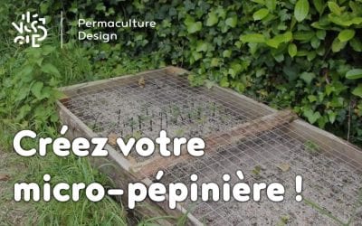 Créez votre micro-pépinière !