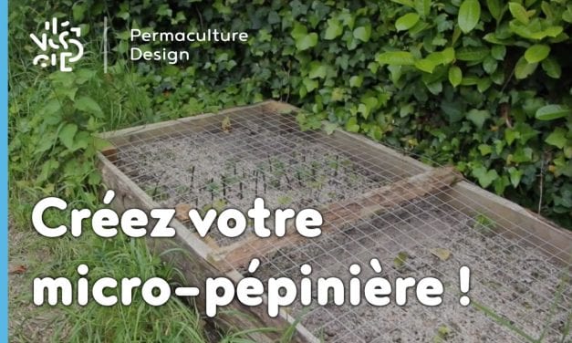 Créez votre micro-pépinière !