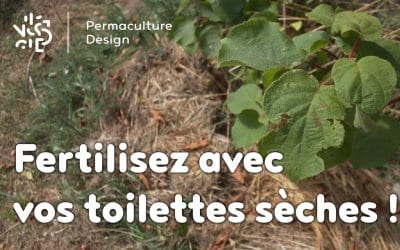 Fertilisez avec vos toilettes sèches !