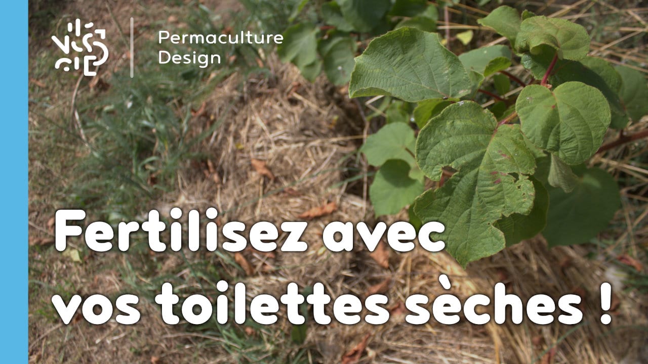 Fertilisez avec vos toilettes sèches !