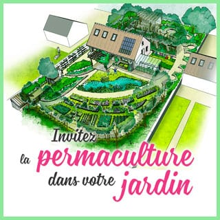 Suivre un stage ou une formation de permaculture en vidéo.