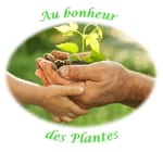 Les plantes sauvages comestibles et médicinales sont des trésors de nutriments et de soins pour notre santé.