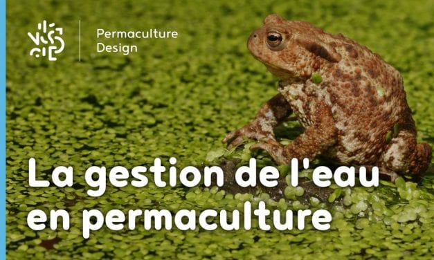 La gestion de l’eau en permaculture