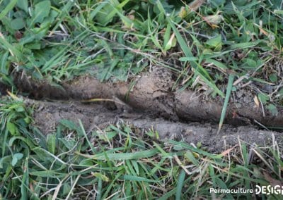 Pratiquer une bonne gestion de sa ressource en eau est primordial en permaculture !