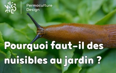 Pourquoi vous faut-il des nuisibles dans votre jardin ?