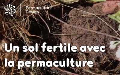 Comment avoir un sol fertile avec la permaculture : les bases