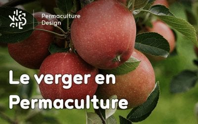 Le Verger en Permaculture