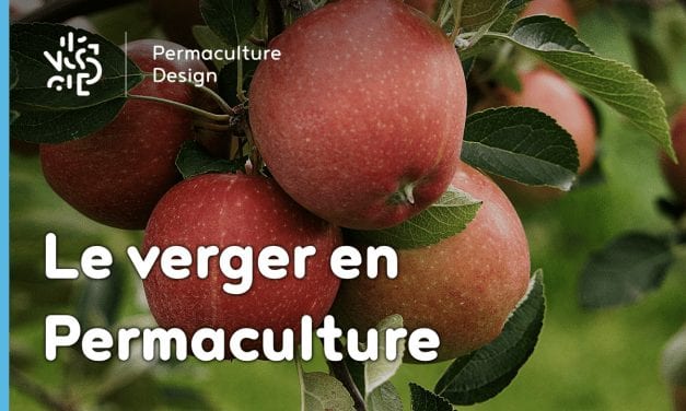 Le Verger en Permaculture