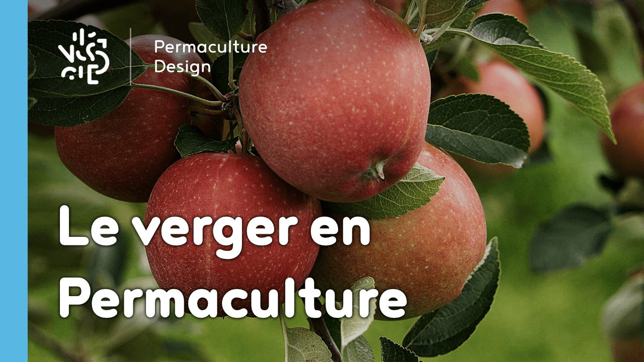 Le Verger en Permaculture