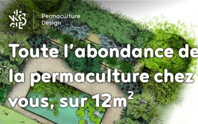 Toute l’abondance de la permaculture chez vous, sur 12m2 et en un week-end…