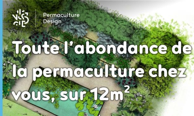 Toute l’abondance de la permaculture chez vous, sur 12m2 et en un week-end…