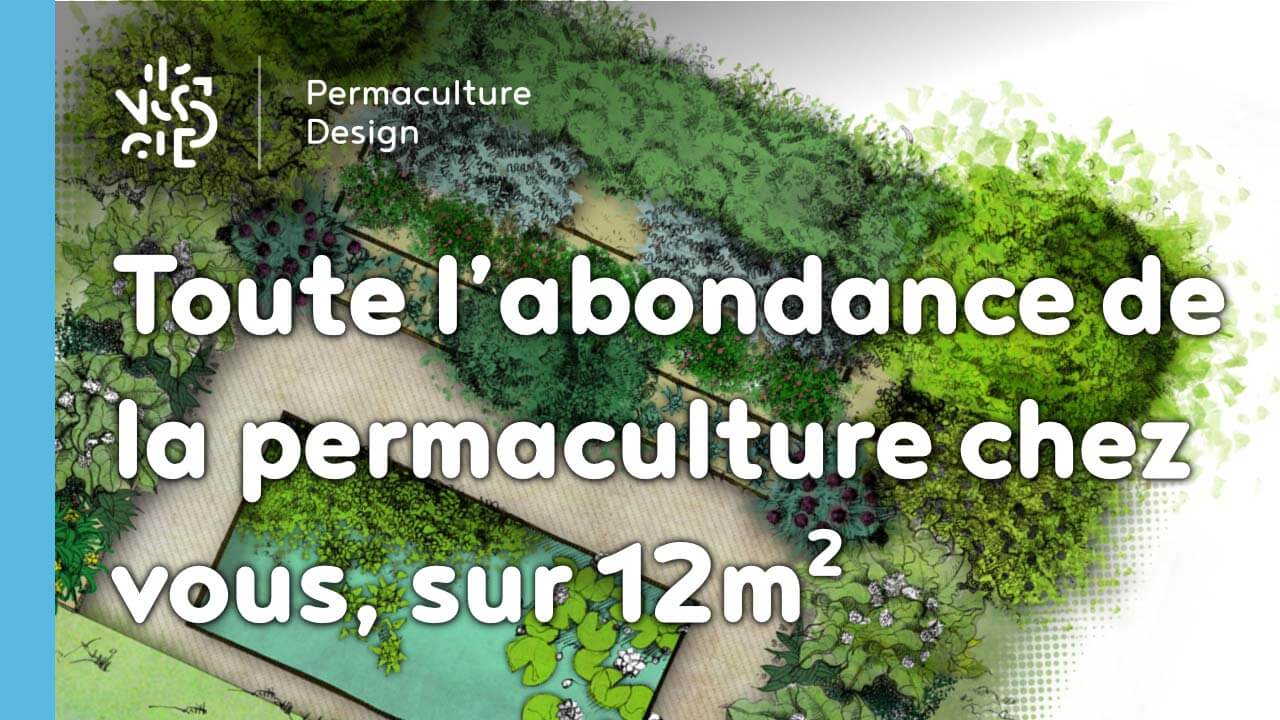 Toute l’abondance de la permaculture chez vous, sur 12m2 et en un week-end…