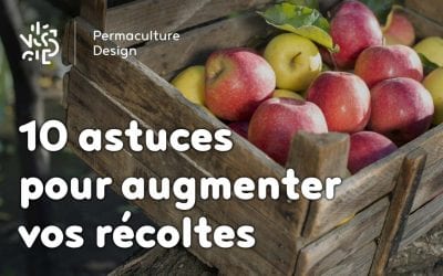 10 astuces pour augmenter vos récoltes…