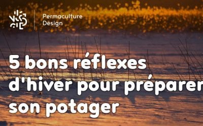 5 bons réflexes d’hiver pour préparer son potager…