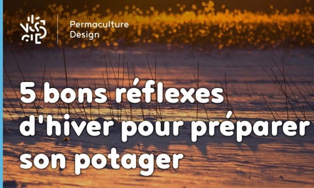 5 bons réflexes d’hiver pour préparer son potager…