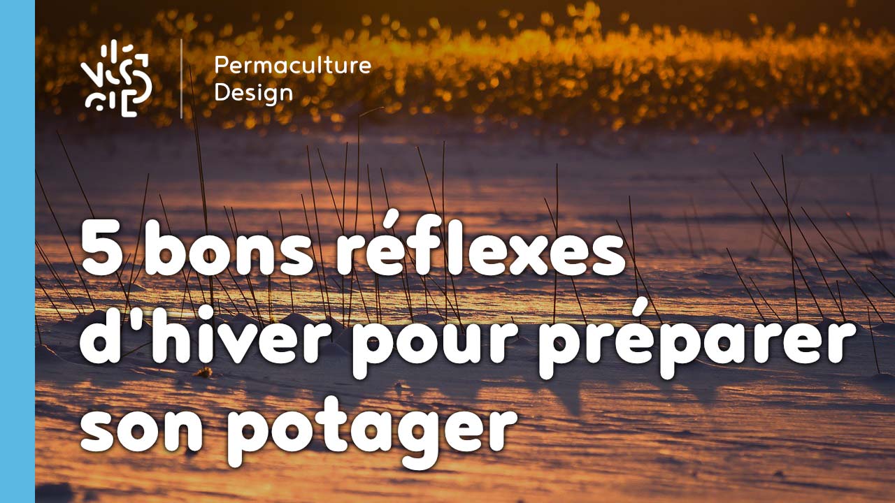 5 bons réflexes d’hiver pour préparer son potager…