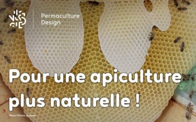 Pour le retour à une apiculture naturelle…