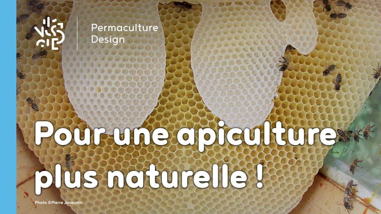 Pour le retour à une apiculture naturelle…