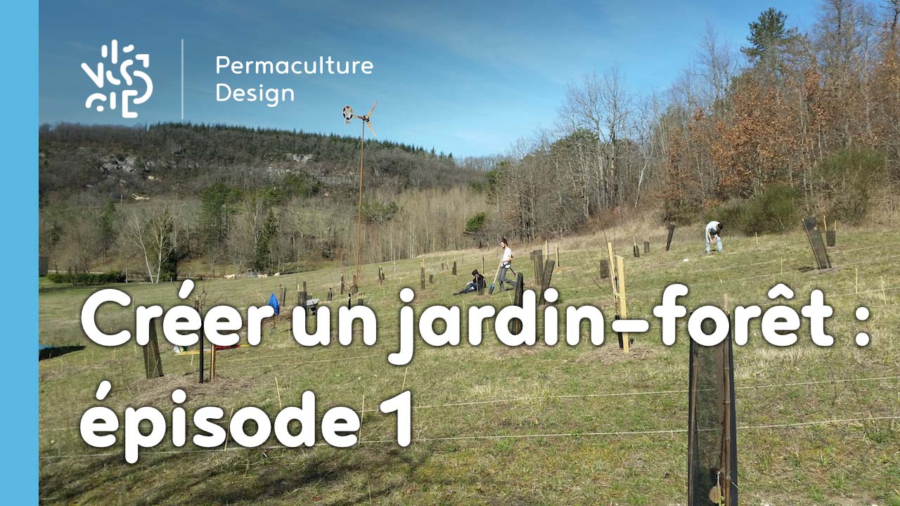 Créer collectivement un jardin-forêt en permaculture : épisode 1, la genèse du projet