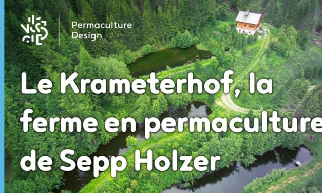 Le Krameterhof : la ferme en permaculture de Sepp Holzer