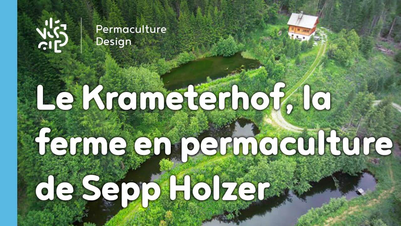 Le Krameterhof : la ferme en permaculture de Sepp Holzer