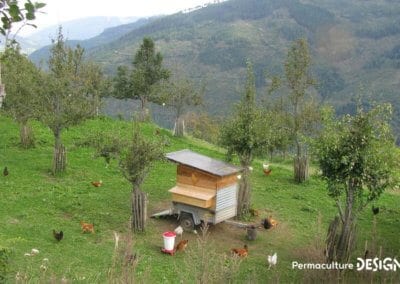 La ferme en permaculture de Sepp Holzer est un exemple remarquable de ce que peut donner une conception permacole réussie.