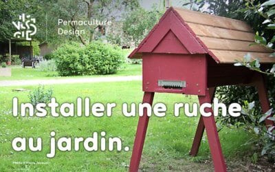 Comment installer une ruche dans votre jardin ?