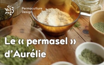 Boostez vos assaisonnements avec une recette saine et facile !