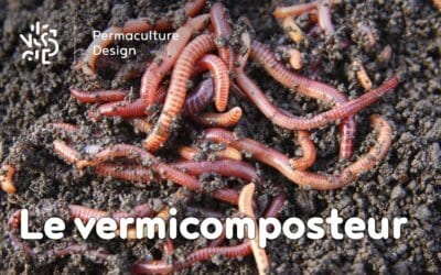 Le vermicomposteur : une boîte à vers pour faire un compost de qualité