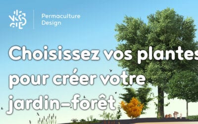 Choisissez vos plantes pour créer votre jardin-forêt