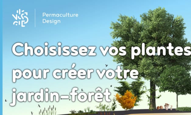 Choisissez vos plantes pour créer votre jardin-forêt