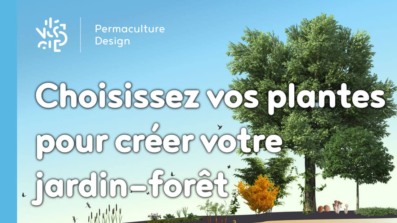 Choisissez vos plantes pour créer votre jardin-forêt